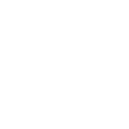 Logo for a consulting firm specializing in business growth and capital raise.